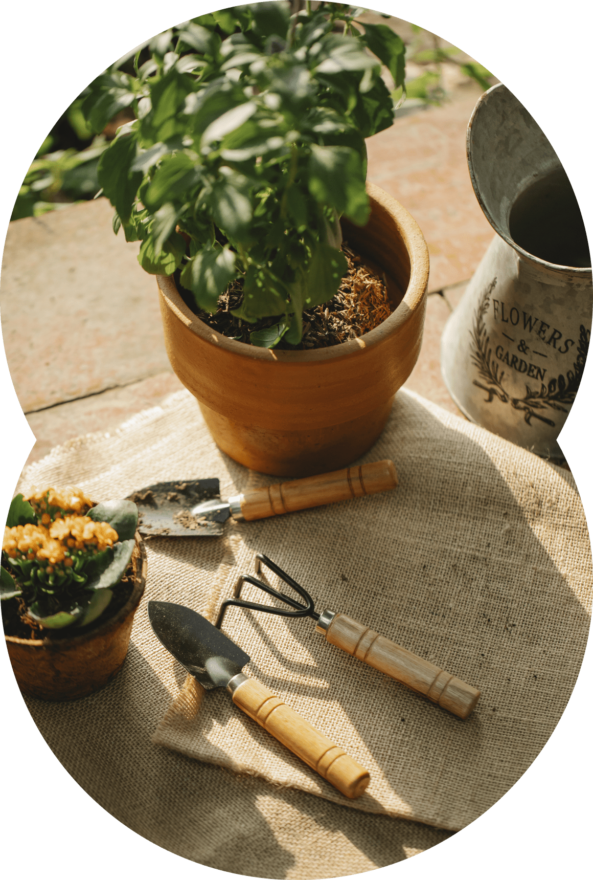 The tarva delivery and return