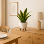 Buy Snake Plant Golden Hahnii Online | Low Maintenance